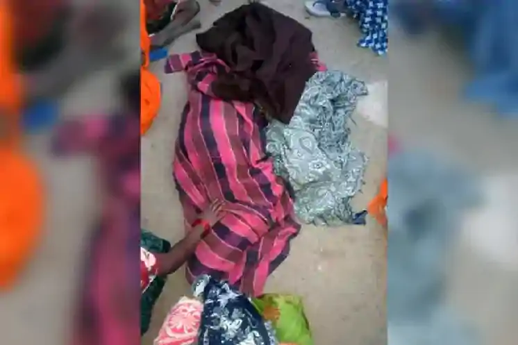 हजारीबाग में हाथियों का कहर; आधी रात गांव में घुसे झुंड ने 6 लोगों को कुचला, मासूम की मौत