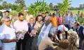 पर्यावरण संरक्षण की दिशा में पंचमंदिर समिति की बड़ी पहल, 20 एकड़ में लगाए गए आम के 360 पौधे