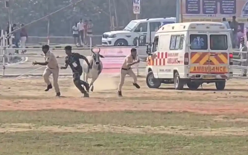 बेगूसराय में सीएम नीतीश के आगमन से पहले सुरक्षा में चूक, हेलीपैड पर पहुंचा बैल, पुलिसकर्मियों को दौड़ाया