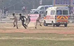 बेगूसराय में सीएम नीतीश के आगमन से पहले सुरक्षा में चूक, हेलीपैड पर पहुंचा बैल, पुलिसकर्मियों को दौड़ाया