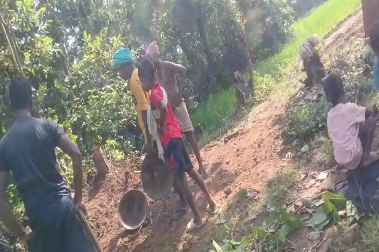 साहिबगंज: ग्रामीणों ने चंदा और श्रमदान कर बनाई 2 KM की सड़क, प्रशासन की उदासीनता से नाराज