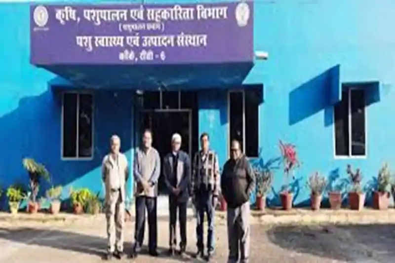 सरकारी खजाने में सेंध! रांची में वेतन मद से करोड़ों की हेराफेरी उजागर, लेखापाल गिरफ्तार सरकारी खजाने में सेंध! रांची में वेतन मद से करोड़ों की हेराफेरी उजागर, लेखापाल गिरफ्तार