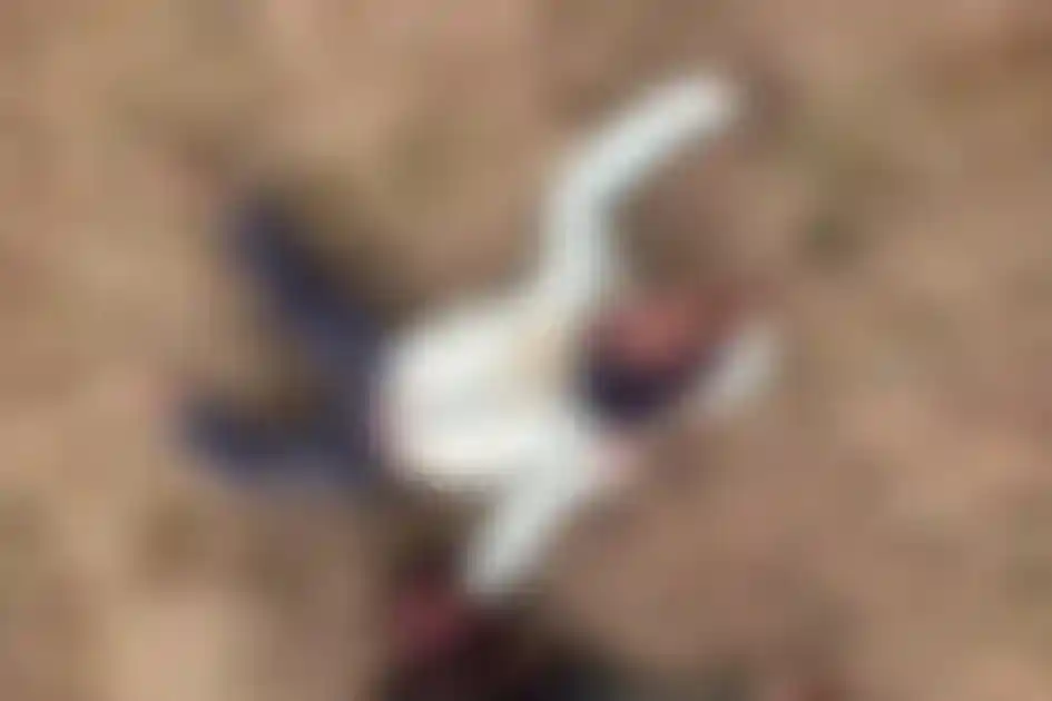 गुमला : NH-23 पर हाईवा ने पिकअप को रौंदा, तिलकुट बेचने जा रहे 4 लोगों की मौ*त