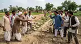 भूमि विवाद में जमकर चले लाठी डंडे, एक की हालत गंभीर, दो हिरासत में