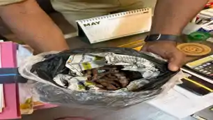 राजधानी में वन्यजीव तस्करी नेटवर्क का भंडाफोड़, भाजपा नेता समेत तीन गिरफ्तार 