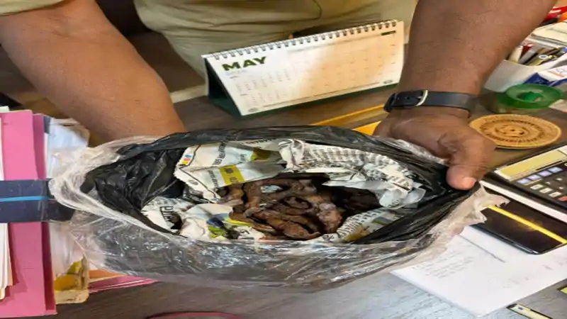 राजधानी में वन्यजीव तस्करी नेटवर्क का भंडाफोड़, भाजपा नेता समेत तीन गिरफ्तार 
