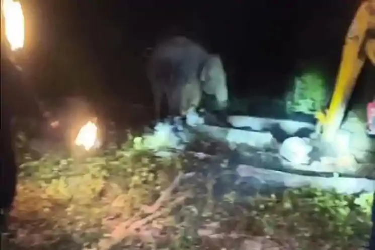 हजारीबाग में कुएं में गिरा हाथी का बच्चा, 7 घंटे के रेस्क्यू ऑपरेशन के बाद सकुशल बाहर निकाला गया 