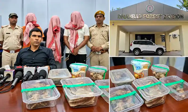वन्यजीव तस्करी का खुलासा, ग्राहक बनकर विभाग ने पकड़े तस्कर, 3 गिरफ्तार वन्यजीव तस्करी का खुलासा, ग्राहक बनकर विभाग ने पकड़े तस्कर, 3 गिरफ्तार