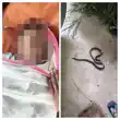 सांप का जहरीला डंक, मासूम की चली गयी जान, अस्पताल में डॉक्टर नहीं मिलने का आरोप-Snake's venomous bite claims innocent life; allegations of no doctor being available at the hospita सांप का जहरीला डंक, मासूम की चली गयी जान, अस्पताल में डॉक्टर नहीं मिलने का आरोप-Snake's venomous bite claims innocent life; allegations of no doctor being available at the hospita