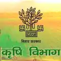 रसायन मुक्त खेती में बिहार अग्रणी, इस वित्तीय वर्ष 5700 हेक्टेयर में होगी प्राकृतिक खेती