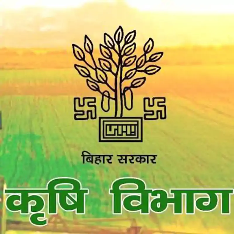 रसायन मुक्त खेती में बिहार अग्रणी, इस वित्तीय वर्ष 5700 हेक्टेयर में होगी प्राकृतिक खेती रसायन मुक्त खेती में बिहार अग्रणी, इस वित्तीय वर्ष 5700 हेक्टेयर में होगी प्राकृतिक खेती