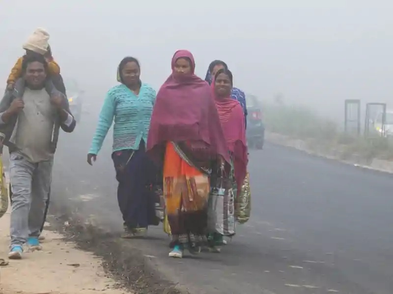 बिहार में बढ़ा ठंड का प्रकोप, इस तारीख से 'कोल्ड वेव' का अलर्ट Bihar