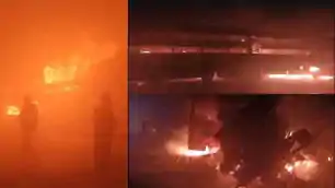 मथुरा में 7 बसें, 3 कारें टकराईं, 4 जिंदा जले, यमुना एक्सप्रेस-वे पर कोहरे के चलते हादसा