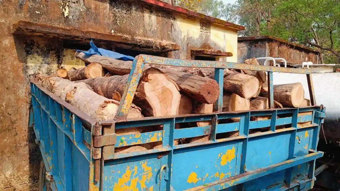 सिमडेगा में वन विभाग की बड़ी कार्रवाई, सागवान से लदा ट्रैक्टर जब्त; चालक फरार