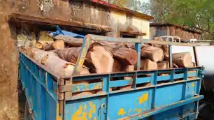 सिमडेगा में वन विभाग की बड़ी कार्रवाई, सागवान से लदा ट्रैक्टर जब्त; चालक फरार