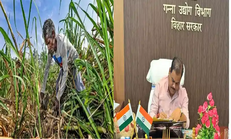 गन्ना किसानों के लिए खुशखबरी, सरकार ने गन्ना नर्सरी स्थापना योजना को दी मंजूरी, ये होगा लाभ.... गन्ना किसानों के लिए खुशखबरी, सरकार ने गन्ना नर्सरी स्थापना योजना को दी मंजूरी, ये होगा लाभ....