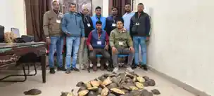 गया जंक्शन पर RPF की बड़ी कार्रवाई: दून एक्सप्रेस से 102 जिंदा कछुए बरामद, कीमत करीब 51 लाख