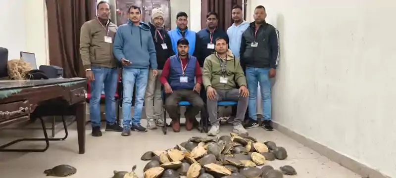 गया जंक्शन पर RPF की बड़ी कार्रवाई: दून एक्सप्रेस से 102 जिंदा कछुए बरामद, कीमत करीब 51 लाख कछुआ