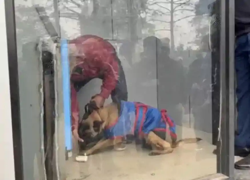 बेतिया में ATM लुटेरों का दुस्साहस: गैस कटर से दो वारदात, 2 घंटे में 23.52 लाख की चोरी