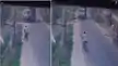 बगहा में CCTV में कैद मौत का मंजर: बच्चे को बचाने के लिए मुड़ा ट्रक, होटल संचालक को कुचल गया-