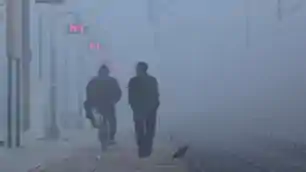 झारखंड में शीतलहर का प्रकोप, घना कोहरा बना आफ़त, 23 दिसंबर तक नहीं मिलेगी राहत