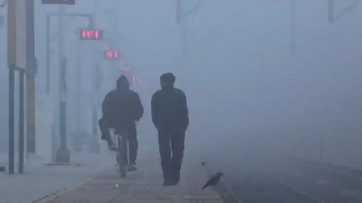 झारखंड में शीतलहर का प्रकोप, घना कोहरा बना आफ़त, 23 दिसंबर तक नहीं मिलेगी राहत