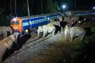असम : हाथियों के झुंड से टकराई राजधानी एक्सप्रेस, इंजन समेत 5 कोच पटरी से उतरे, 7 हाथियों की मौ*त