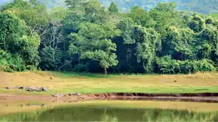 हजारीबाग में जल-जंगल-जमीन बचाने की पहल! प्रशासन ने शुरू की नई शिकायत व्यवस्था