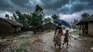 रांची समेत कई जिलों में भारी बारिश का येलो अलर्ट, IMD ने जारी की चेतावनी