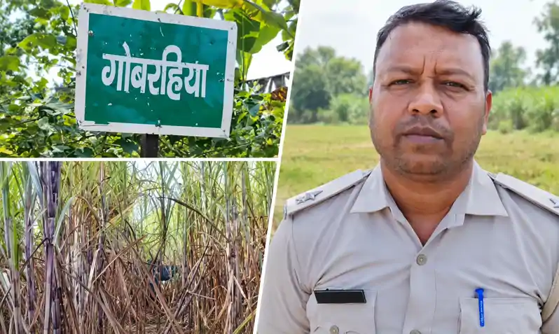 गन्ने के खेत में दिखा गैंडा, ग्रामीणों में दहशत, मौके पर पहुंची रेस्क्यू टीम गन्ने के खेत में दिखा गैंडा, ग्रामीणों में दहशत, मौके पर पहुंची रेस्क्यू टीम