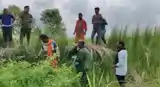 बाघ के पगमार्ग मिलने से फैली दहशत, अलर्ट पर वन विभाग की टीम