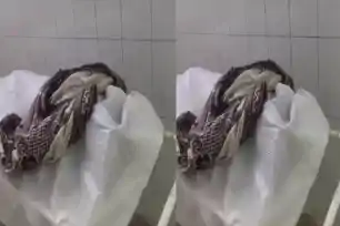 कोडरमा जंक्शन पर ट्रेन पकड़ने की जल्दबाजी में लिपिक की बिगड़ी तबीयत, अस्पताल पहुंचने में हुई देर 