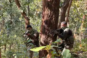 सारंडा में नक्सलियों पर फिर प्रहार, मुठभेड़ में एक महिला नक्सली ढेर 