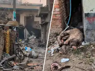सिवान के अलमापुर में ब्लास्ट, बम बनाने के दौरान हुए भीषण विस्फोट में चार लोगों की मौत 