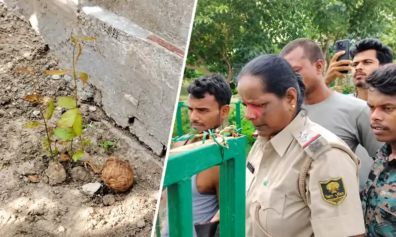 कब्रिस्तान में मिले 3 संदिग्ध जिंदा बम, खानपुर में मचा हड़कंप कब्रिस्तान में मिले 3 संदिग्ध जिंदा बम, खानपुर में मचा हड़कंप