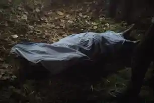 जामताड़ा : खेत में संदिग्ध हालात में बरामद हुआ युवक का श*व, घर से मतदान के लिये निकला था