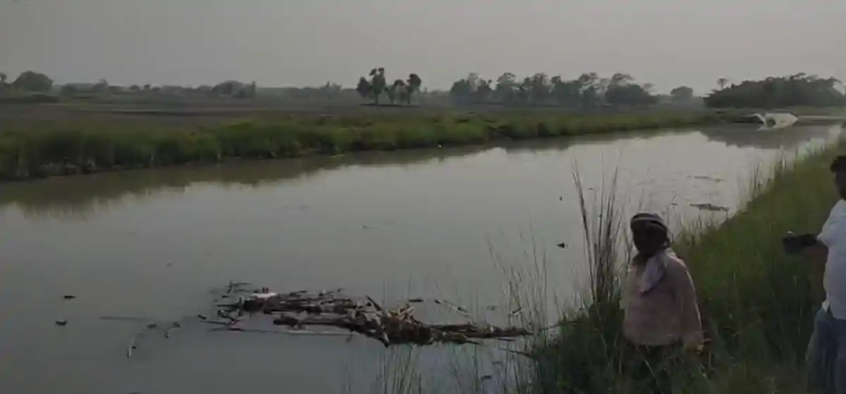 परिवार पर भारी पडा विवाद, पत्नी समेत बच्चों को नहर में फेंका, मौत