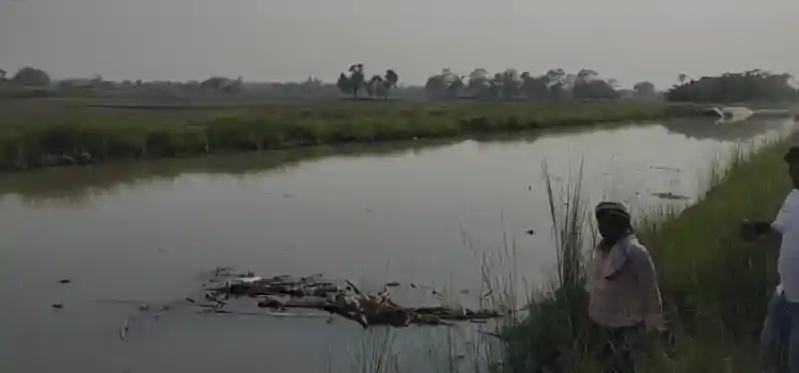 परिवार पर भारी पडा विवाद, पत्नी समेत बच्चों को नहर में फेंका, मौत