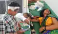 नीलगाय से टकराई बाइक, हादसे में बच्चे की मौत, माता-पिता घायल