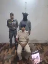 बिजली बिल अपडेट के नाम पर ठगी करने वाला साइबर ठग गिरफ्तार, कई मोबाइल, नगद बरामद