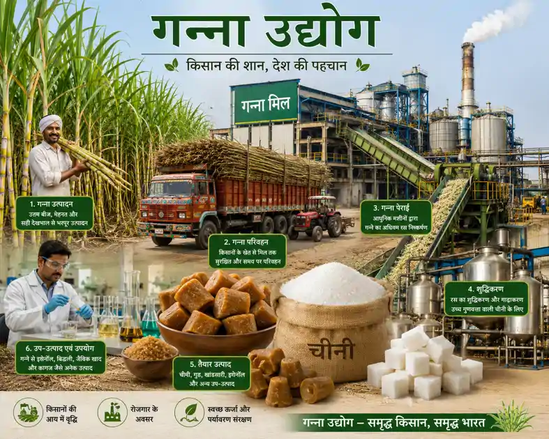बिहार बना मिसाल, गन्ने के लिए इस नीति को मंजूरी देने वाला देश का पहला राज्य बना