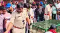 आतंक का पर्याय बना पागल बंदर रेस्क्यू, व्यवसायियों ने ली राहत की सांस