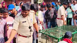 आतंक का पर्याय बना पागल बंदर रेस्क्यू, व्यवसायियों ने ली राहत की सांस