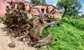स्कूल पर गिरा सूखा बरगद का पेड़, तीन छात्राओं की मौत, गांव में मातम