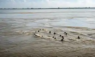 गंगा नदी में बडा हादसा, राघोपुर में डूबी नाव, 22 मजदूर थे सवार गंगा नदी में बडा हादसा, राघोपुर में डूबी नाव, 22 मजदूर थे सवार