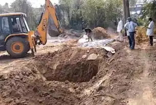 पटना में H5N1 बर्ड फ्लू का खतरा, 7 दिन के लिए बंद हुआ पटना जू, अस्पताल हाई अलर्ट पर