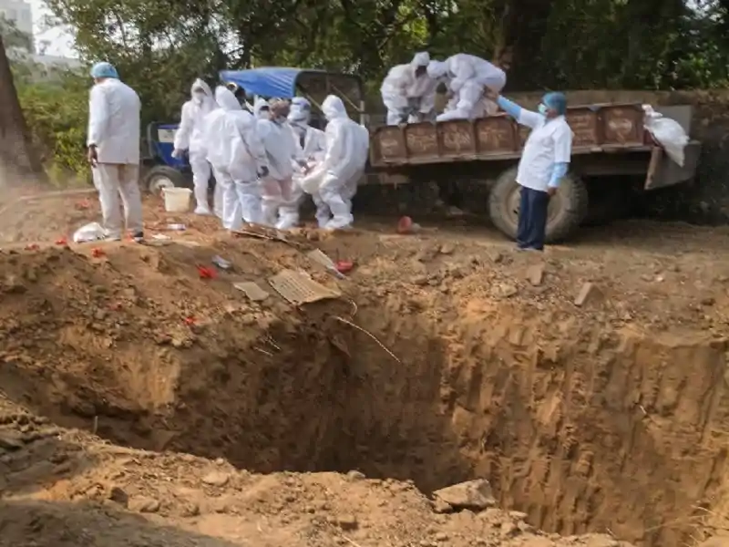 होली से पहले ‘मुर्गा पार्टी’ पर ब्रेक: बर्ड फ्लू की दस्तक: 6000 मुर्गियां संक्रमित, जू में भी हाई अलर्ट होली से पहले ‘मुर्गा पार्टी’ पर ब्रेक