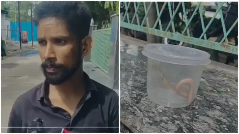 कोबरा ने डसा, डिब्बे में उसी सांप को लेकर अस्पताल पहुंचा युवक, सब रह गए हैरान 
