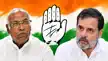 MLC चुनाव : EVM हो या बैलेट पेपर कांग्रेस सभी जगहों पर 'शून्य'-MLC elections: Whether it’s EVMs or ballot papers, the Congress draws a blank everywhere