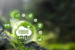 झारखंड में कार्बन क्रेडिट मिशन को मिली रफ्तार, वन विभाग ने नियमों में किया बदलाव 